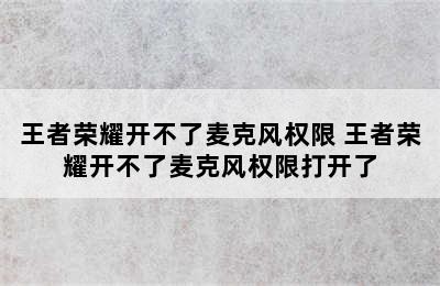 王者荣耀开不了麦克风权限 王者荣耀开不了麦克风权限打开了